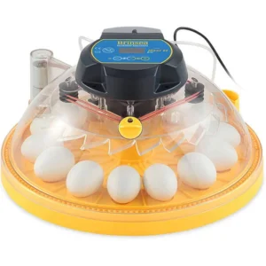 Brinsea Maxi II EX Incubator (Automatic)
