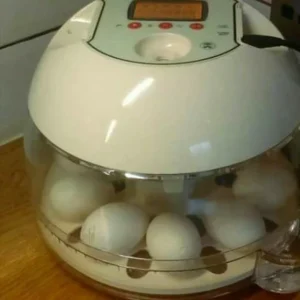Mini Advance EX Automatic Incubator For Sale